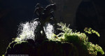 Barcelona Tuin bij Sante Creu